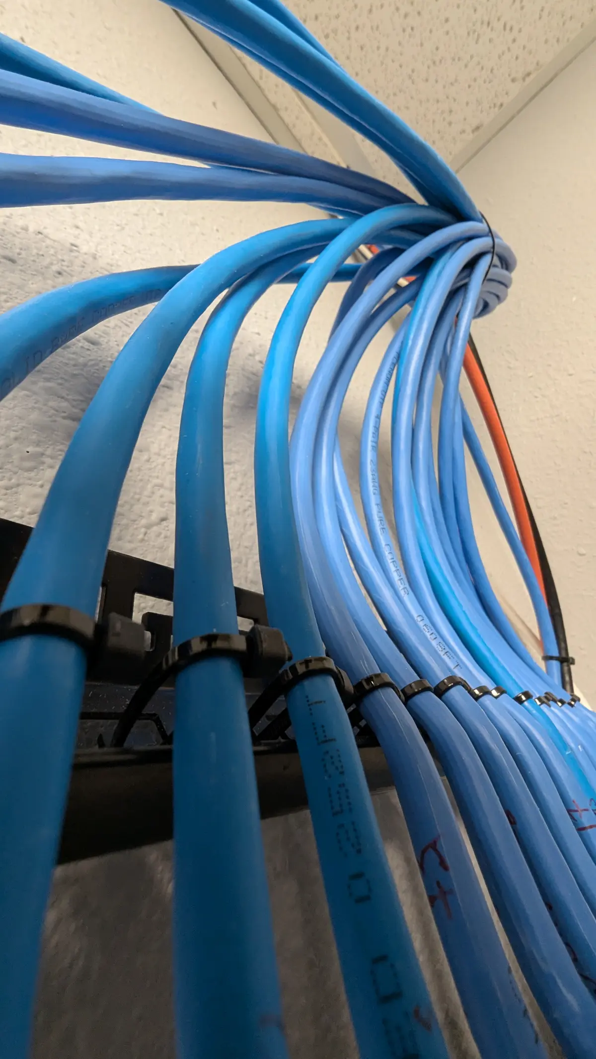 Structured Cat6 network cabling into a patch panel installed by Zidra